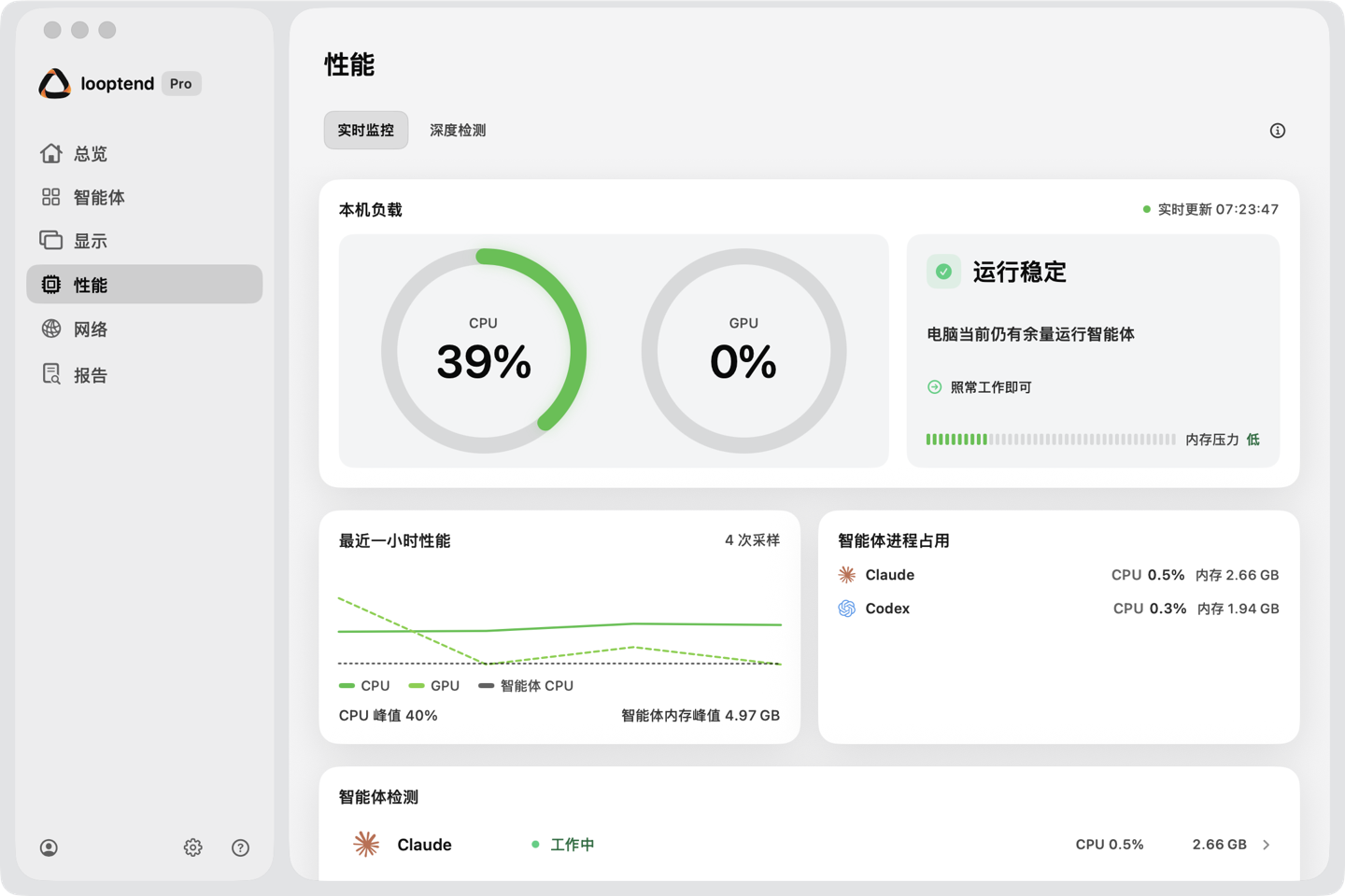 looptend Performance page: machine load, stable verdict, Agent process usage